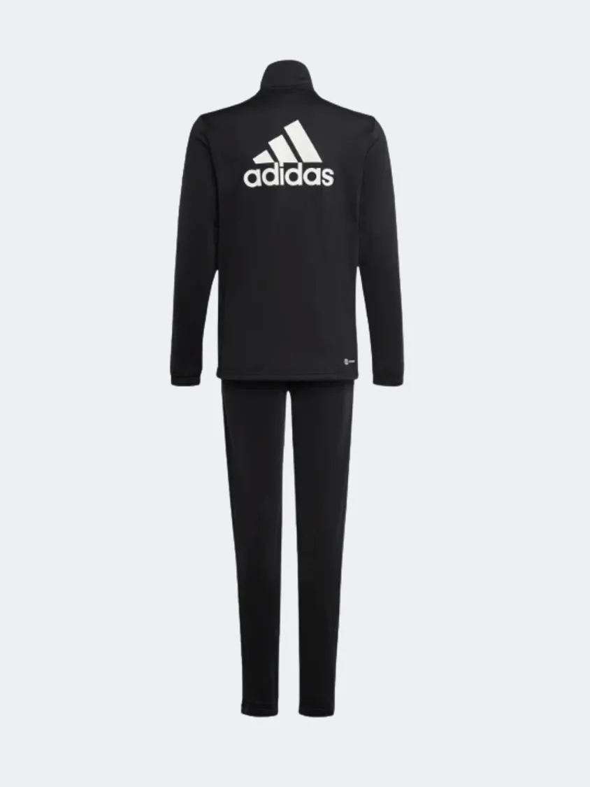 Adidas Essentials Big Logo Gs Sportswear Suit Black