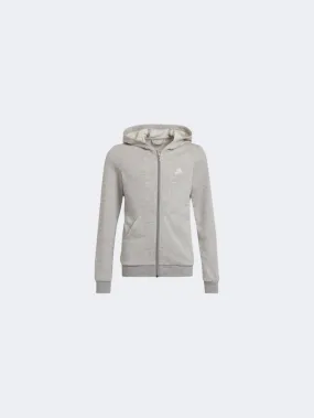 Adidas Essentials Gs-Girls Lifestyle Hoody Grey/Clear Pink