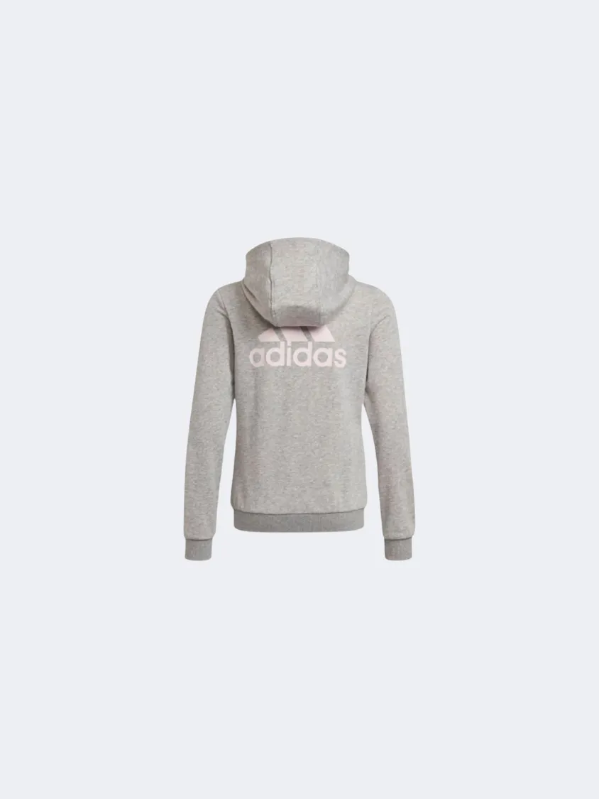 Adidas Essentials Gs-Girls Lifestyle Hoody Grey/Clear Pink