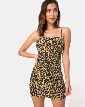 Cinelle Bodycon Dress in Leopard