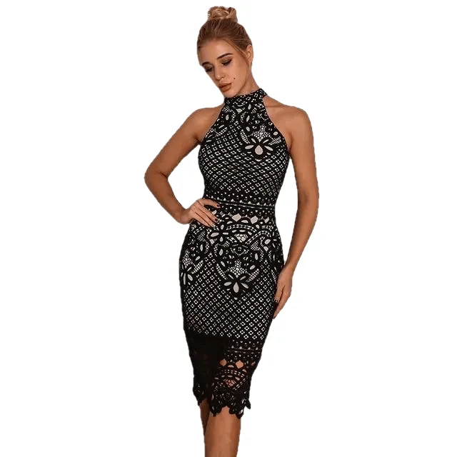 Elegant Hollow Out Sleeveless Sexy Bodycon Dress