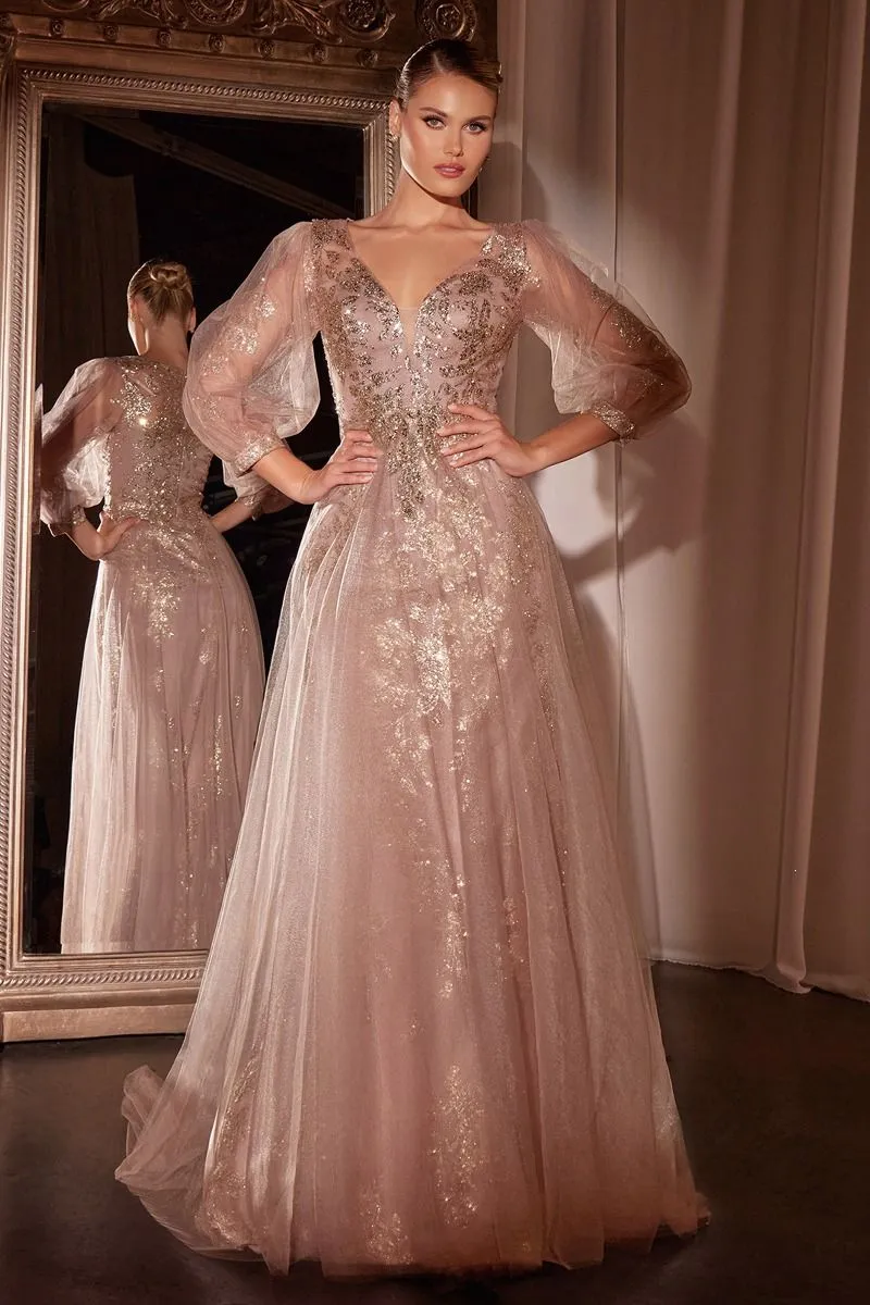 RITA Mesh Long Sleeve Embellished Mother of Groom Bride Evening Gown